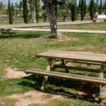 Parques Para Picnic Cerca De Mi